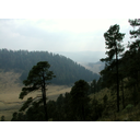 7_Sierra Madre.jpg<>Sierra Madre